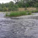 Rzeka Skawa w m. Wadowice
