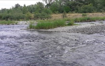 Rzeka Skawa w m. Wadowice