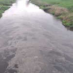 Płynąca rzeka z widocznym zanieczyszczeniem wody o barwie ciemnobrunatnej