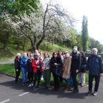 Zdjęcie grupowe w tle kwitnące drzewo